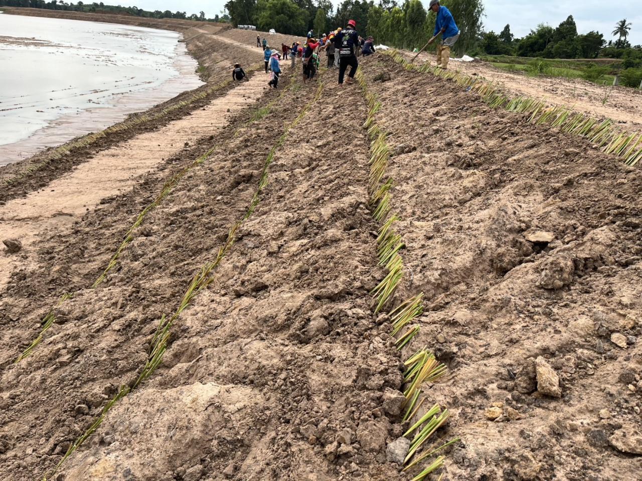 ภาพประกอบที่ 5