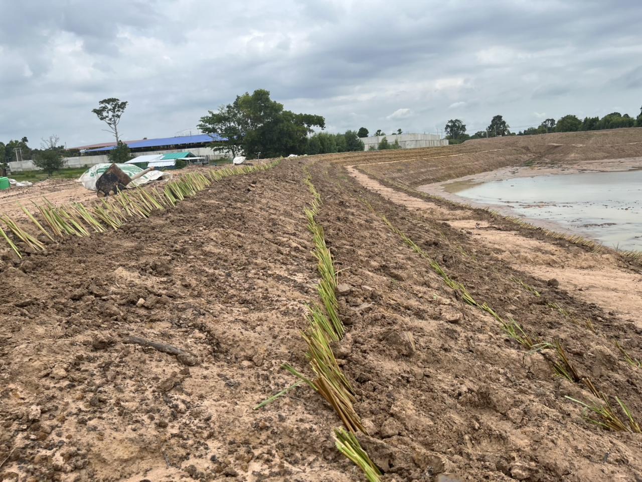 ภาพประกอบที่ 7