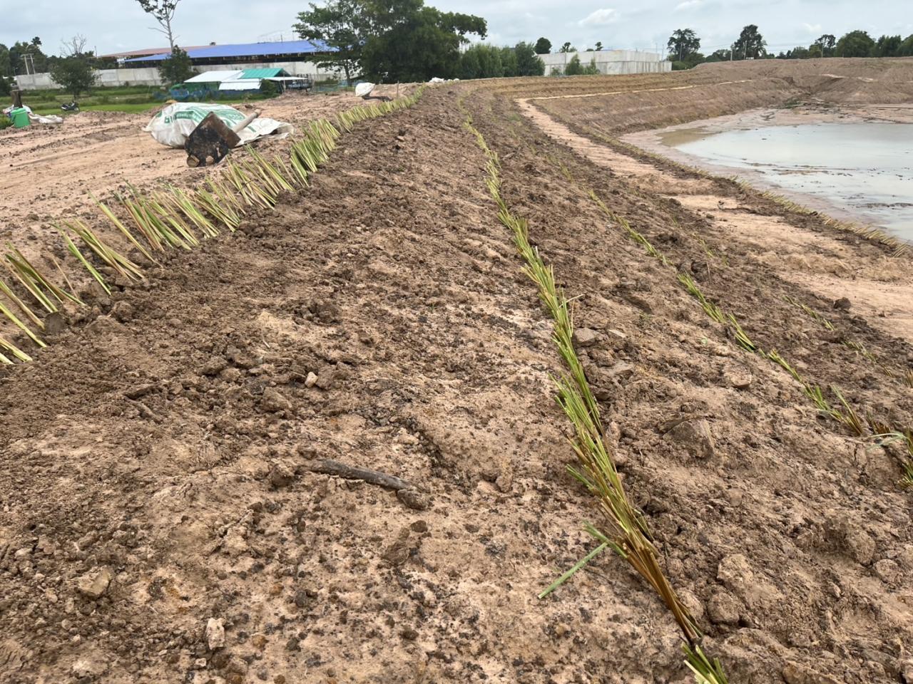 ภาพประกอบที่ 8