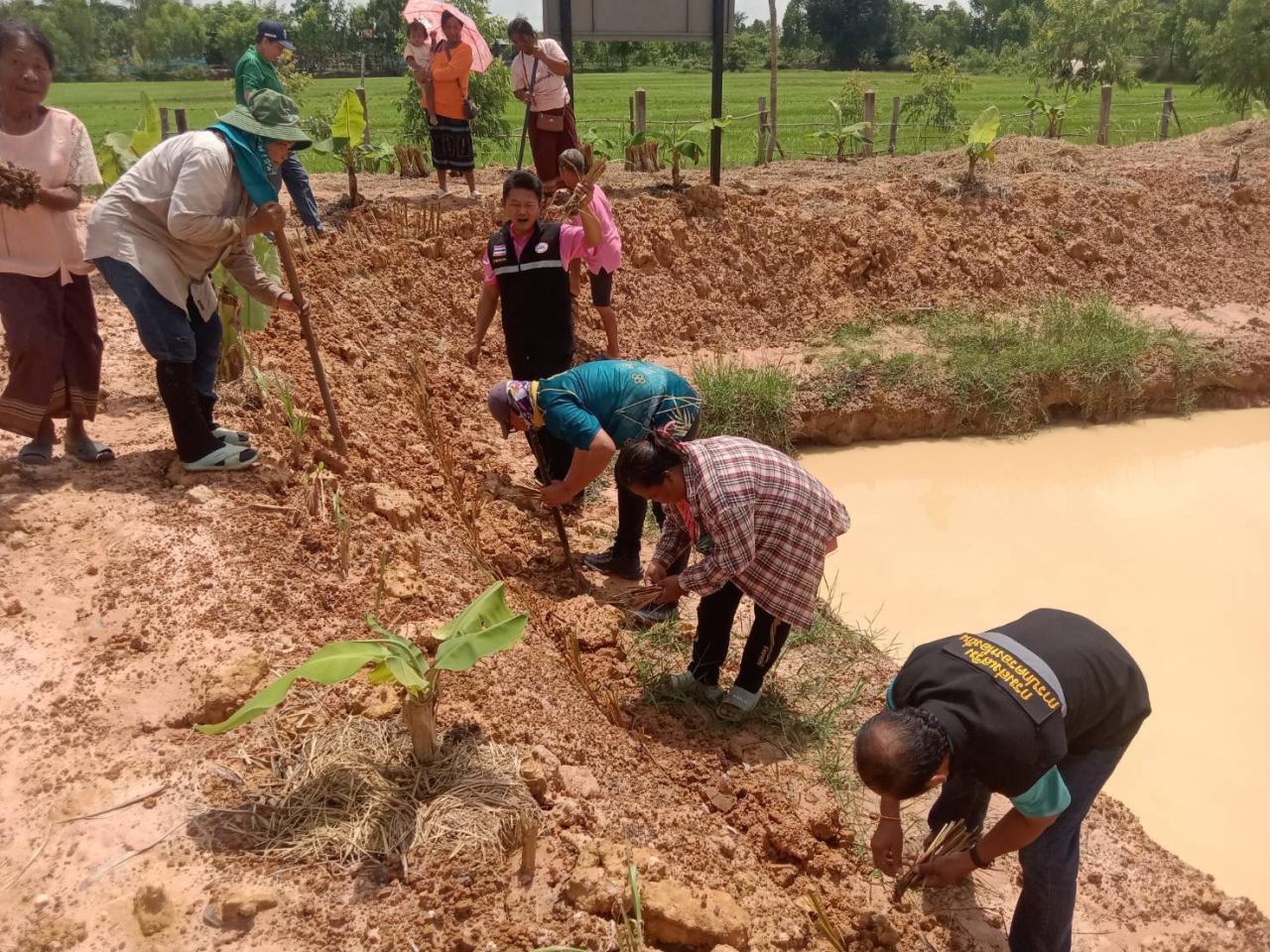 ภาพประกอบที่ 4