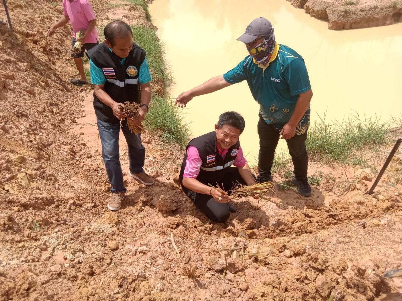 ภาพประกอบที่ 5