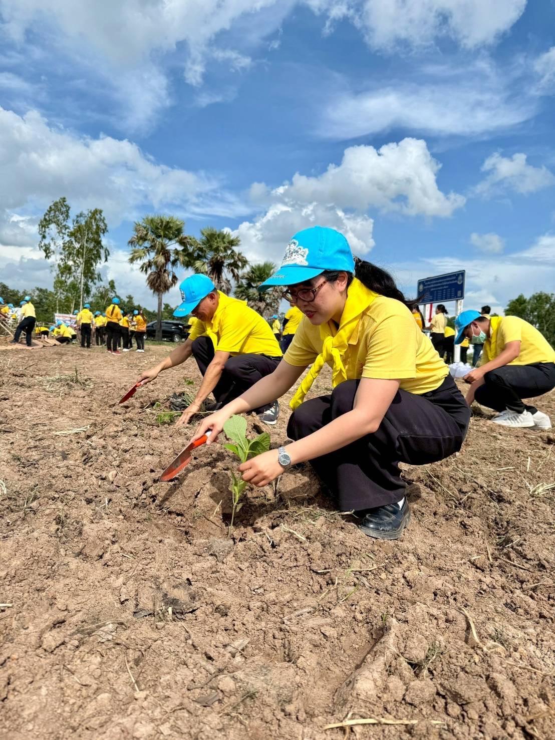 ภาพประกอบที่ 9