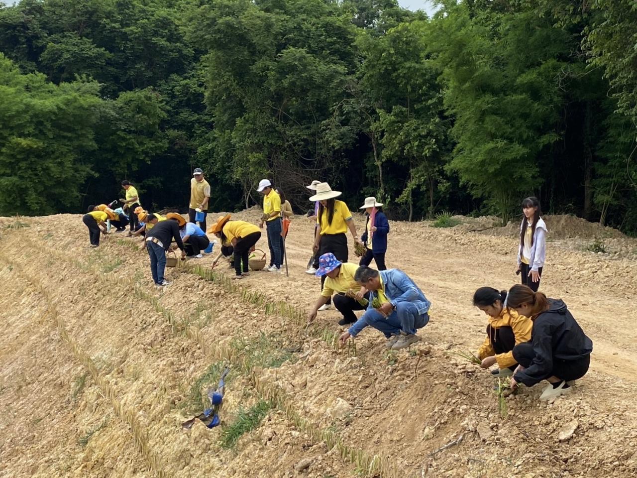 ภาพประกอบที่ 2