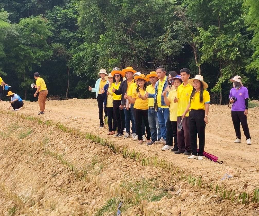 ภาพประกอบที่ 4