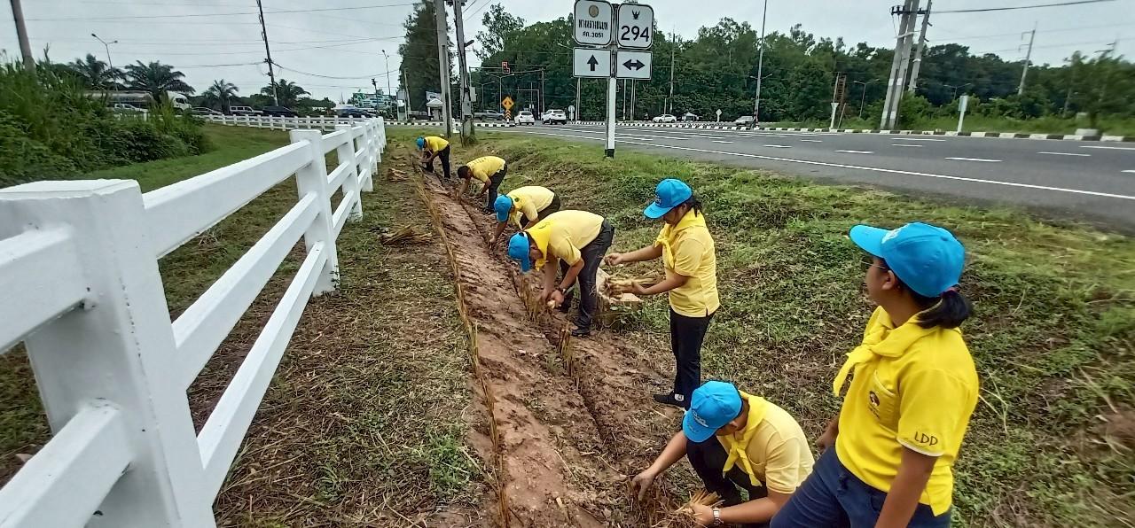 ภาพประกอบที่ 8