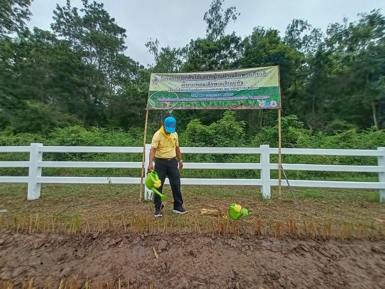 ภาพประกอบที่ 6