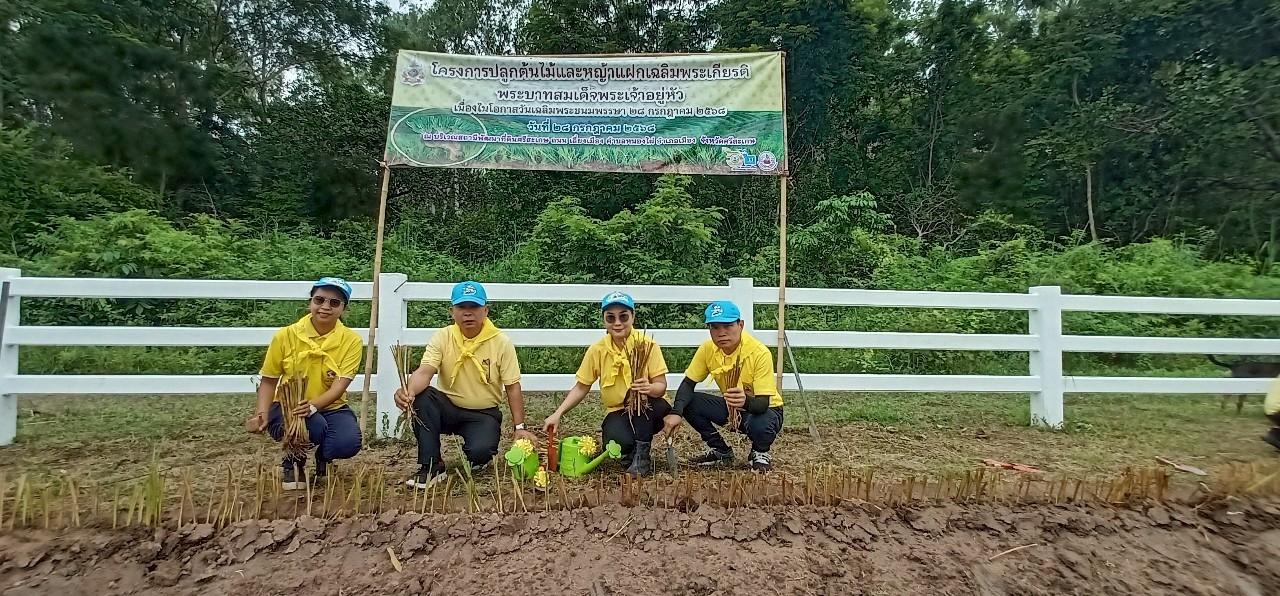ภาพประกอบที่ 5