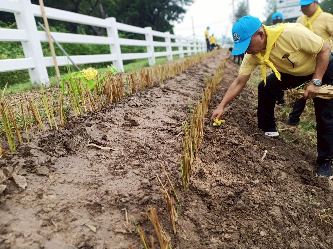 ภาพประกอบที่ 7