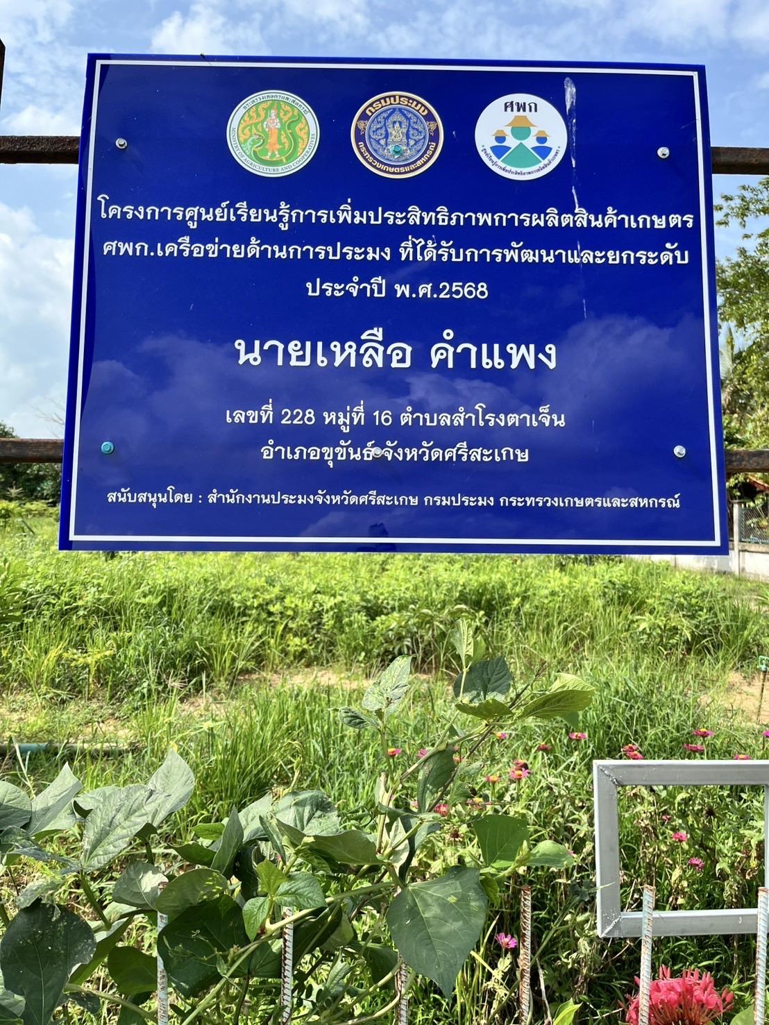 ภาพประกอบที่ 5