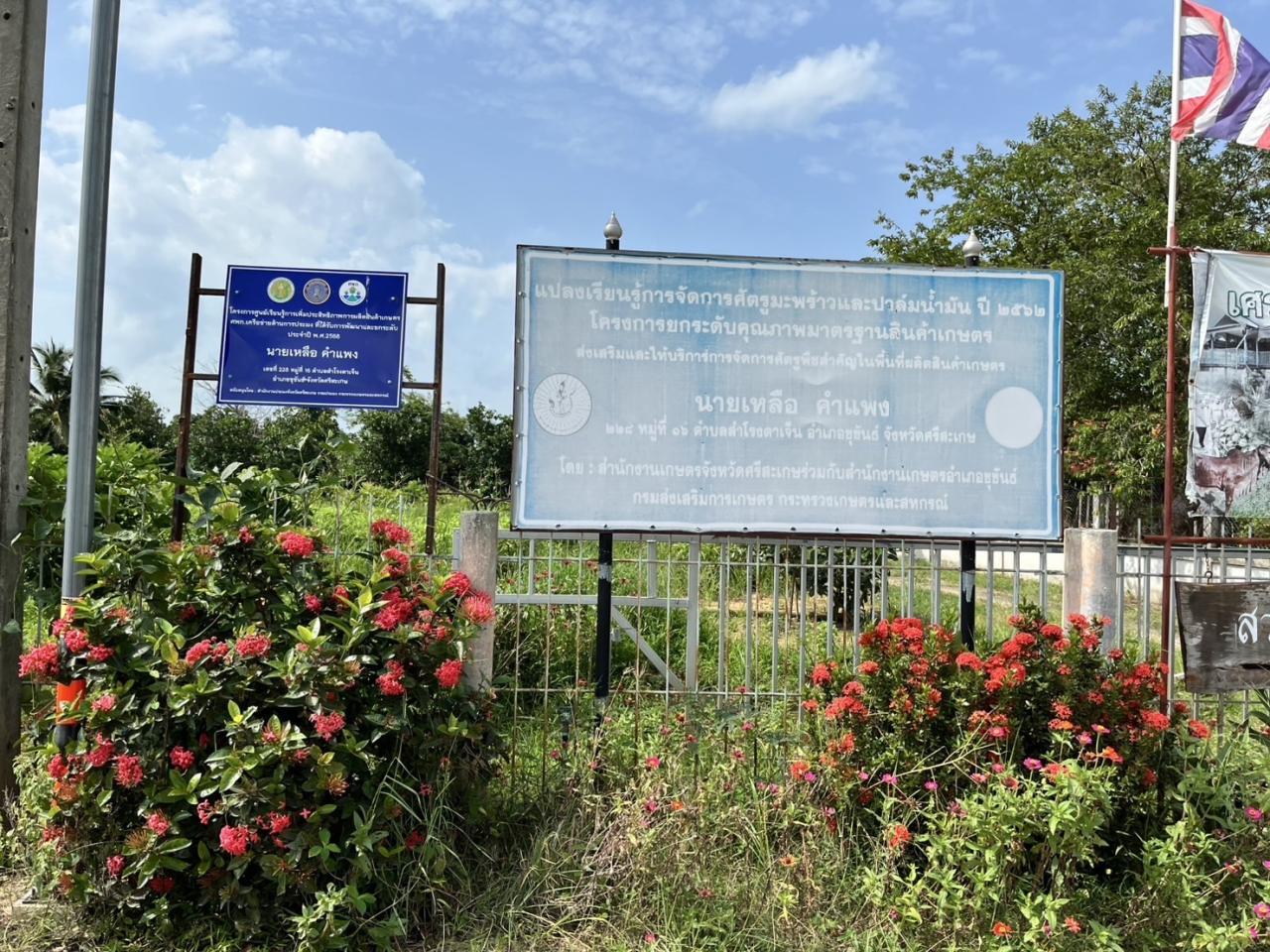 ภาพประกอบที่ 8