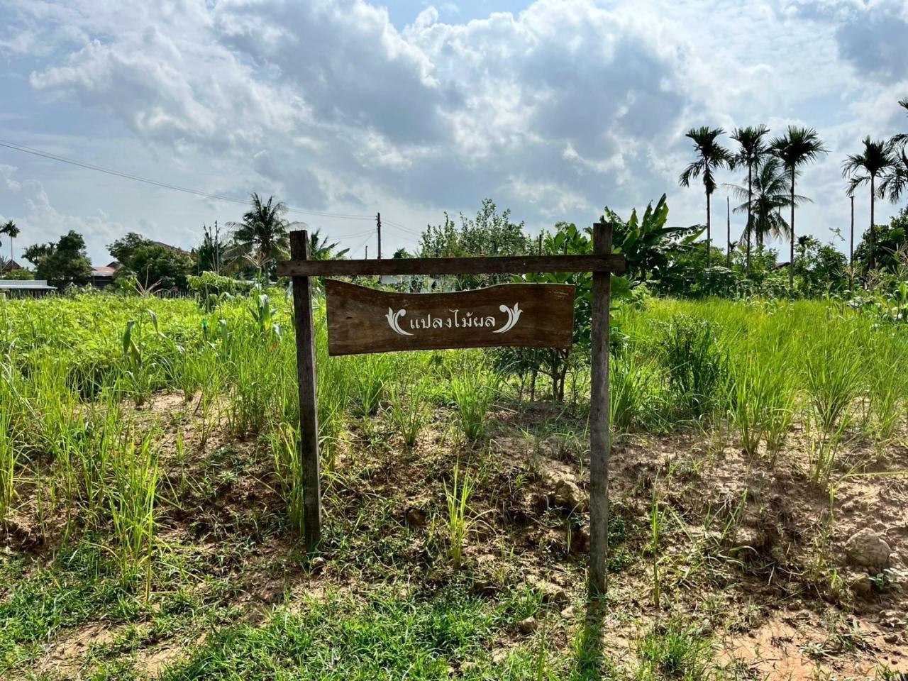 ภาพประกอบที่ 10