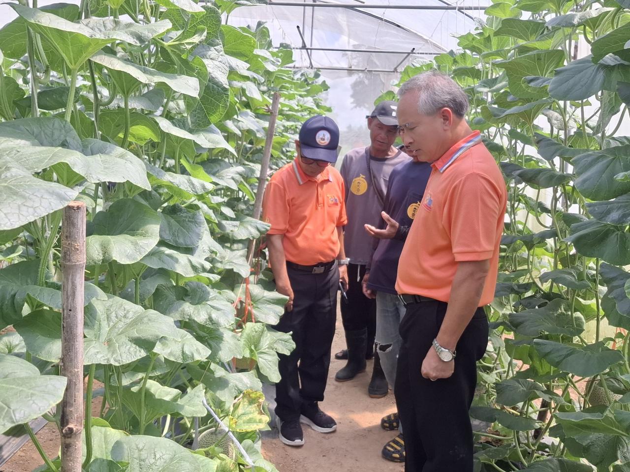 ภาพประกอบที่ 1