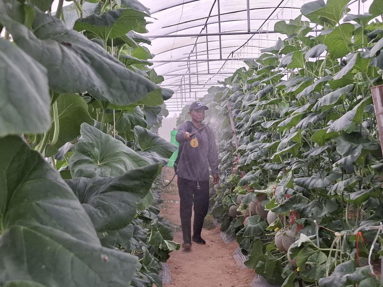 ภาพประกอบที่ 13