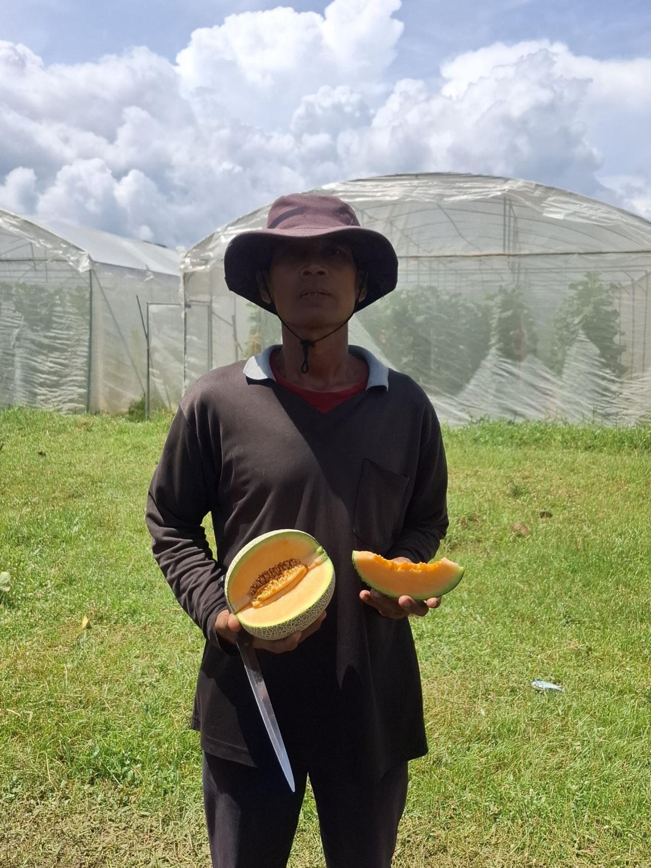 ภาพประกอบที่ 14