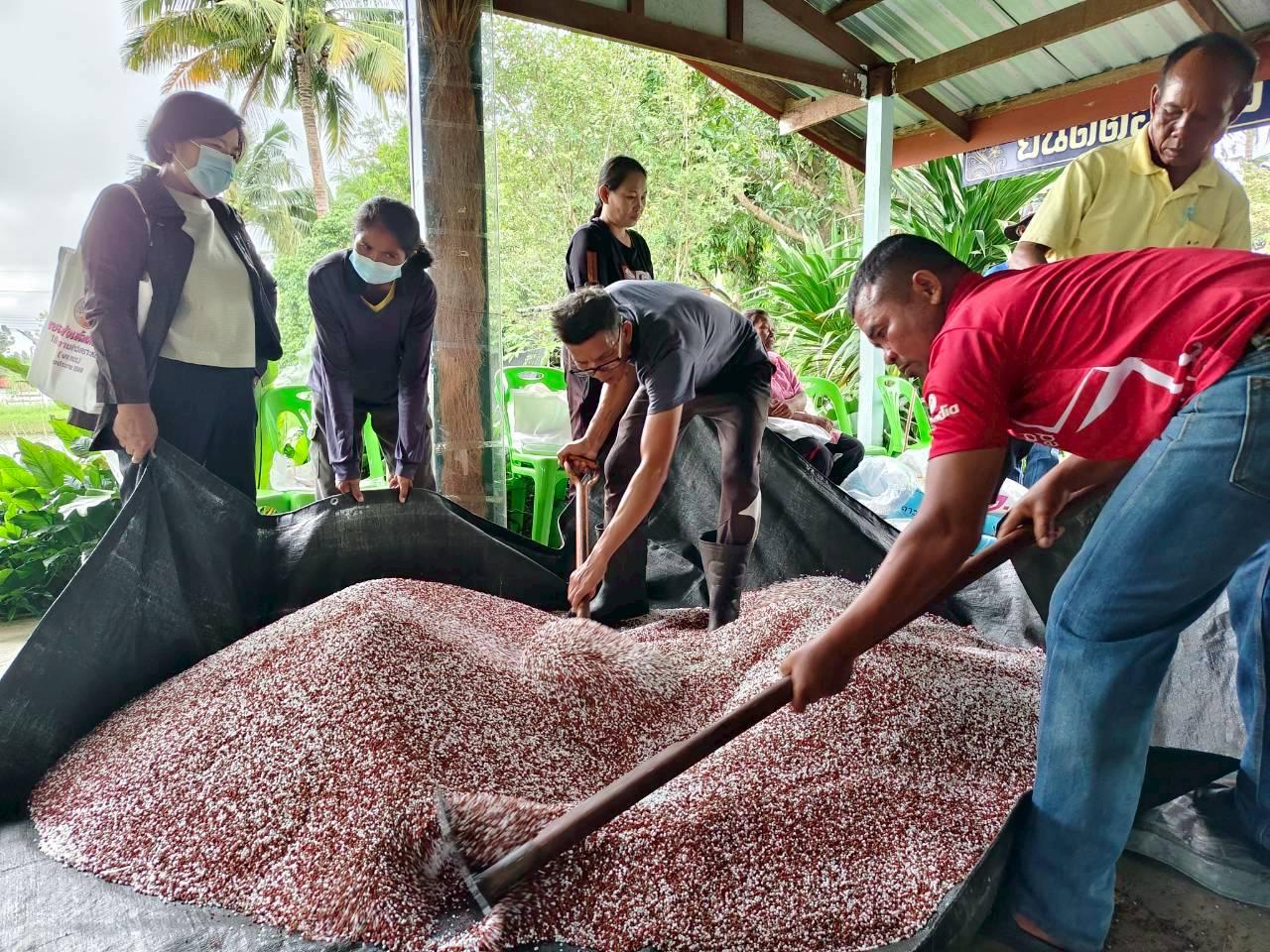 ภาพประกอบที่ 9