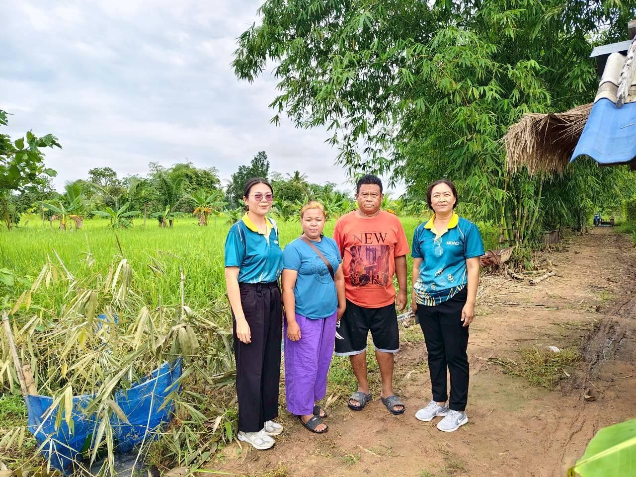 ภาพประกอบที่ 1