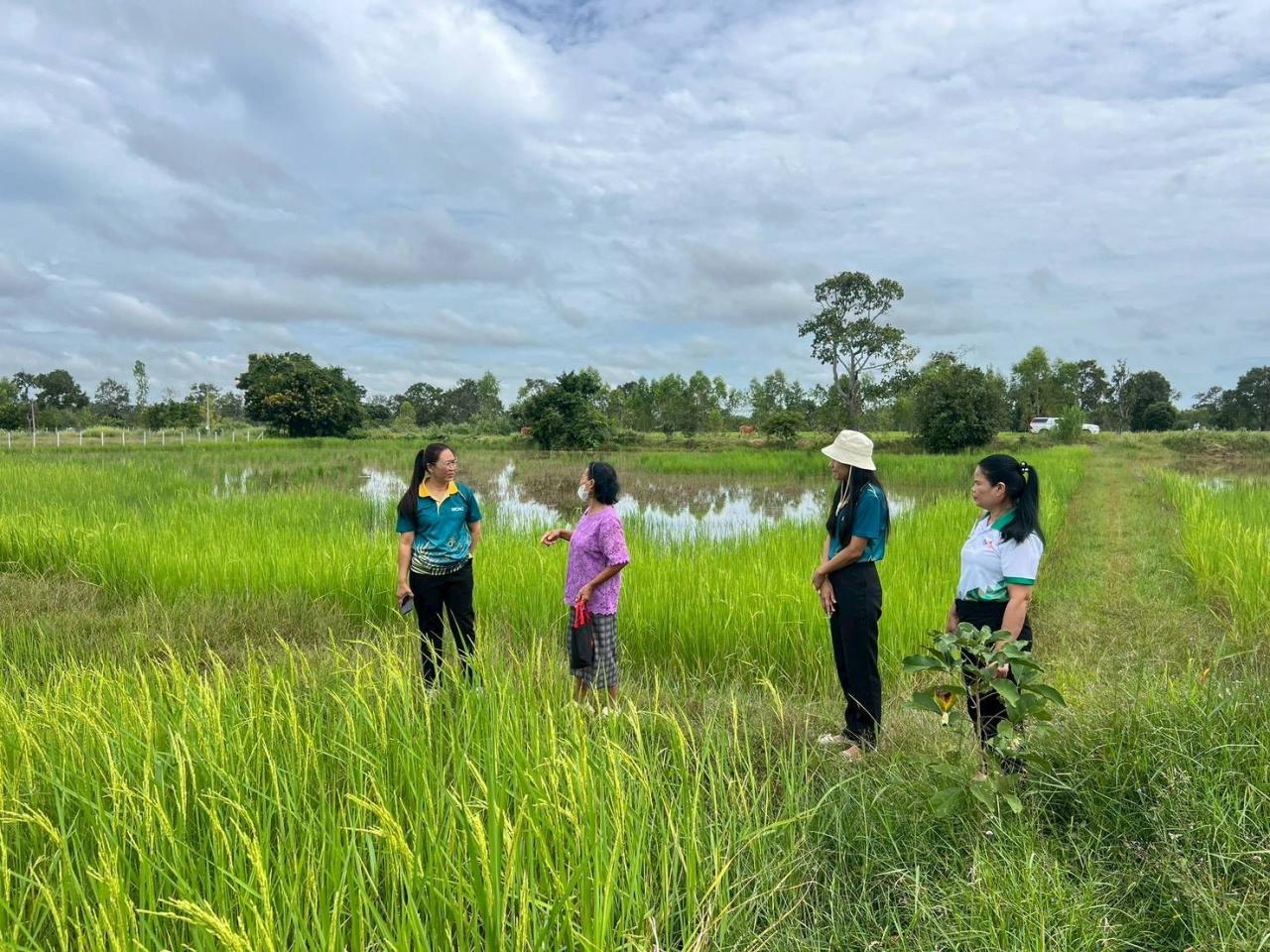 ภาพประกอบที่ 3