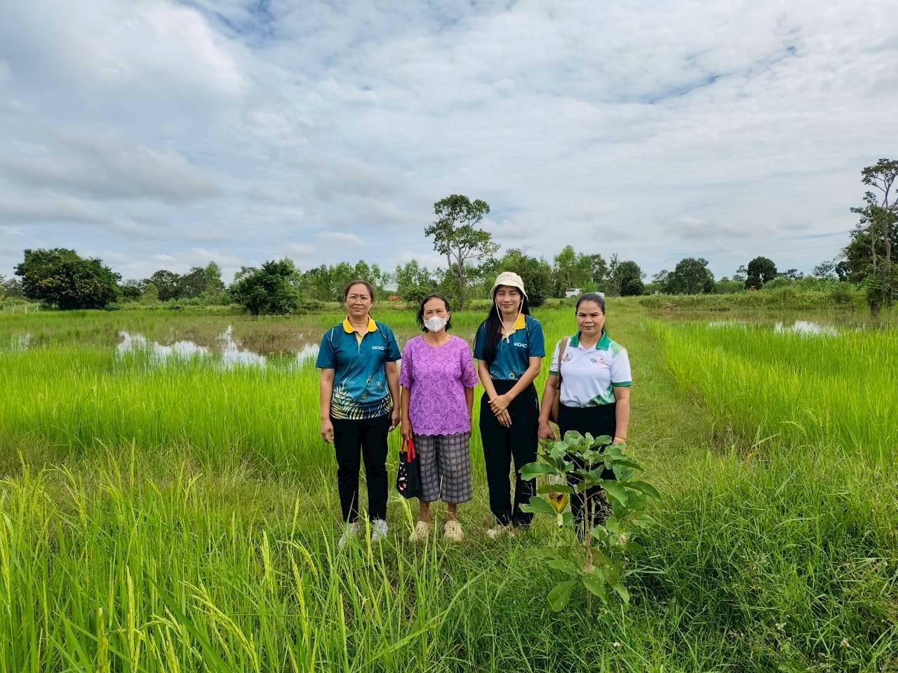 ภาพประกอบที่ 4