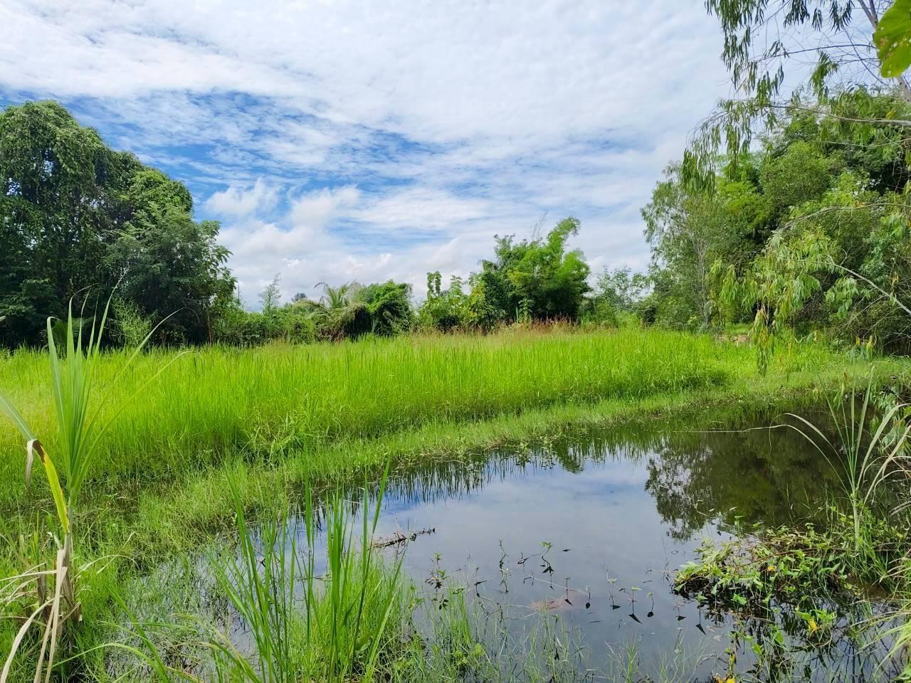 ภาพประกอบที่ 5