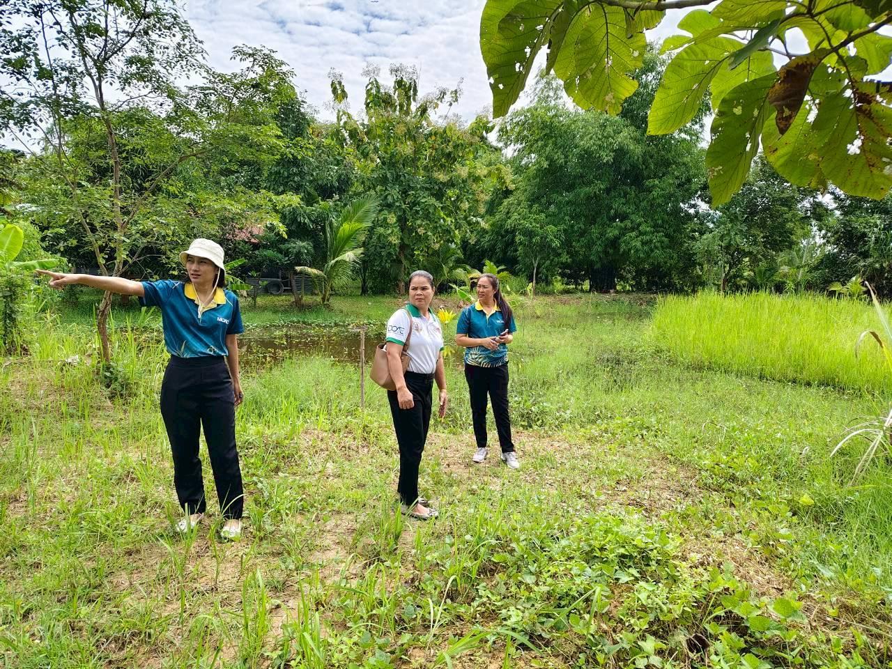 ภาพประกอบที่ 6