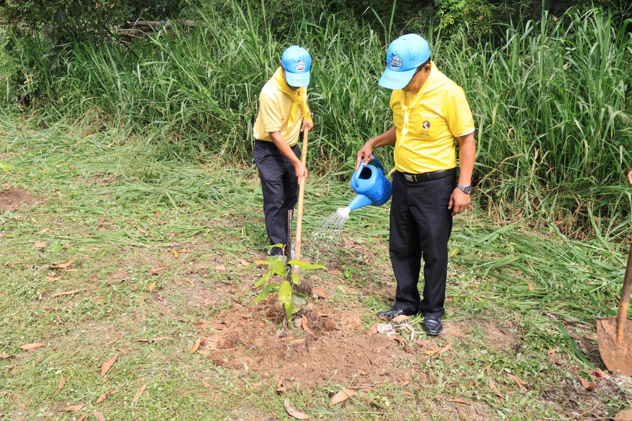 ภาพประกอบที่ 4