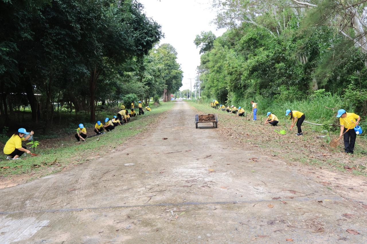 ภาพประกอบที่ 7