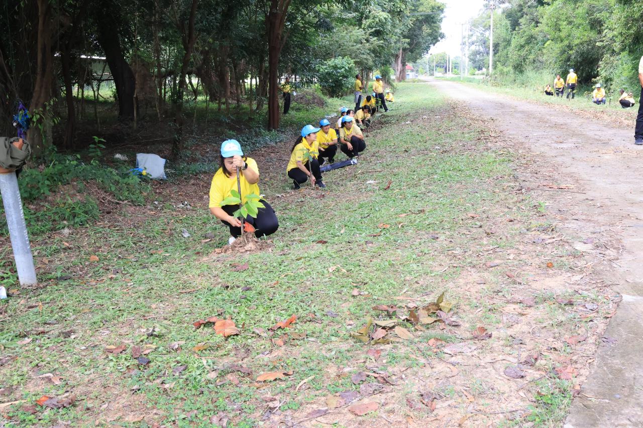 ภาพประกอบที่ 6