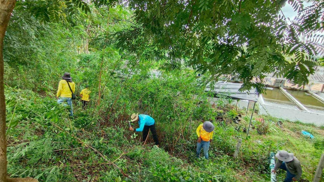 ภาพประกอบที่ 4