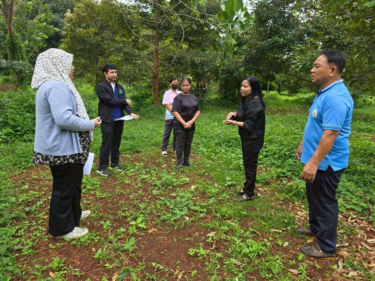 ภาพประกอบที่ 7
