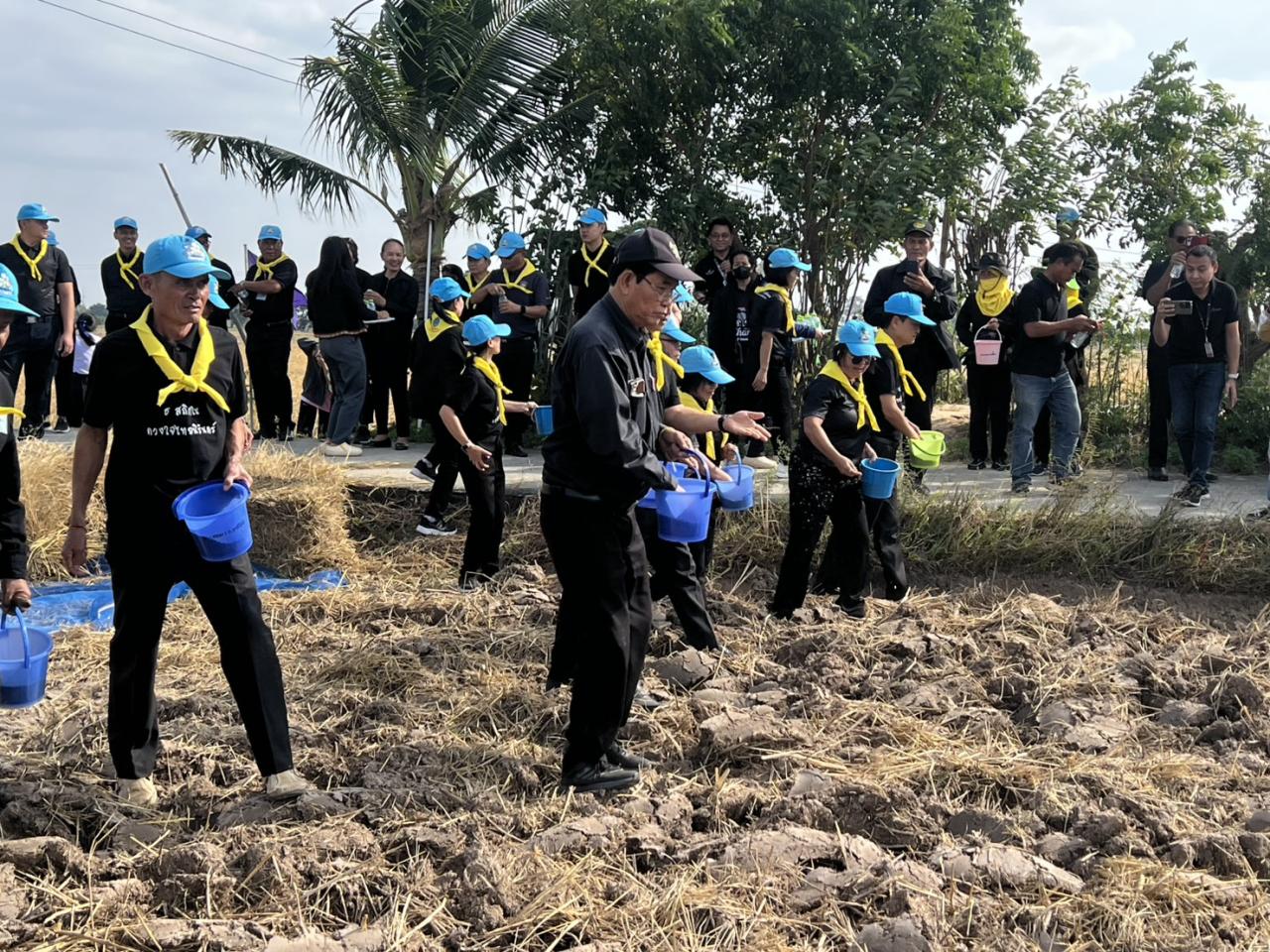 ภาพประกอบที่ 7