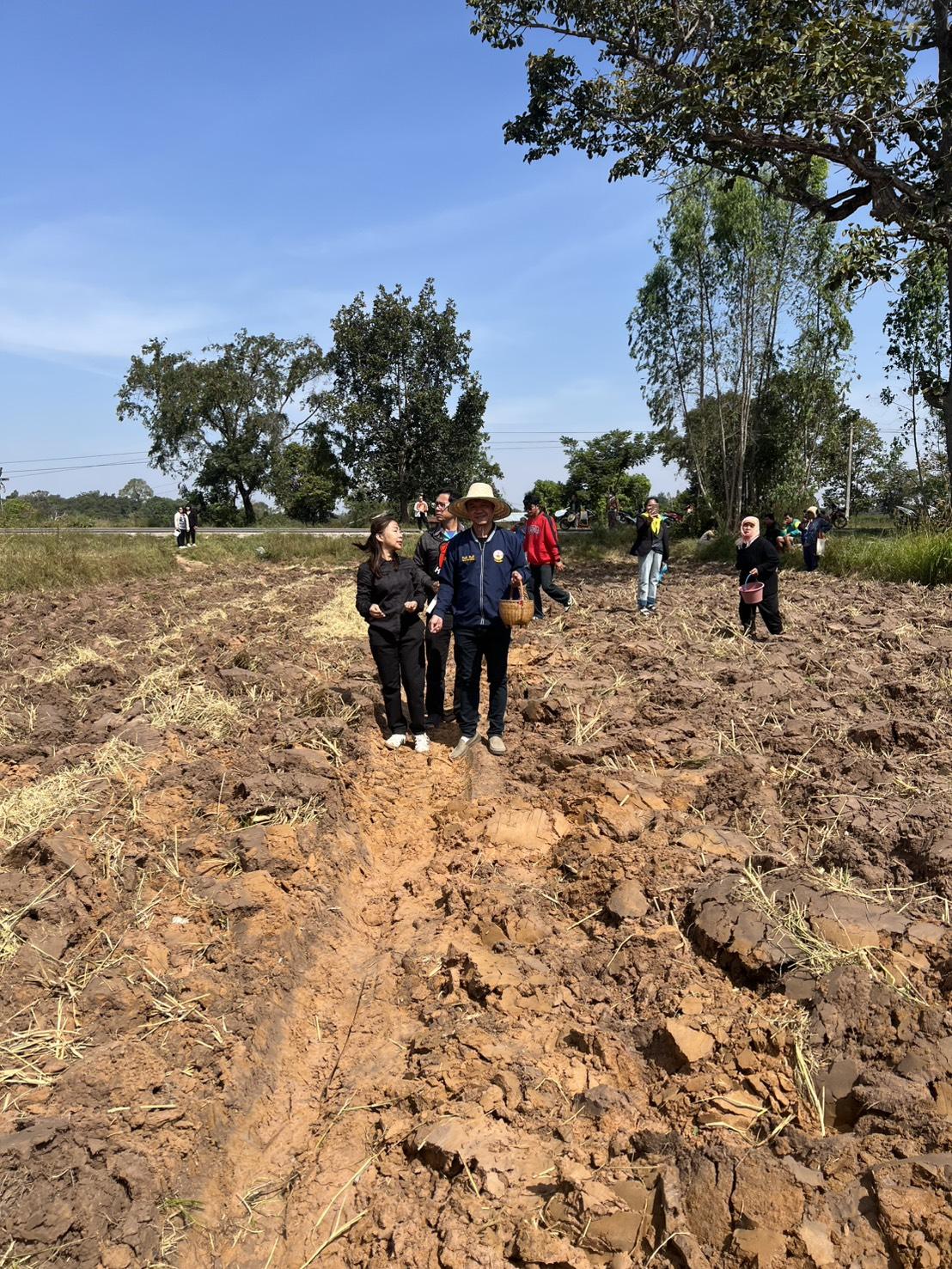 ภาพประกอบที่ 5