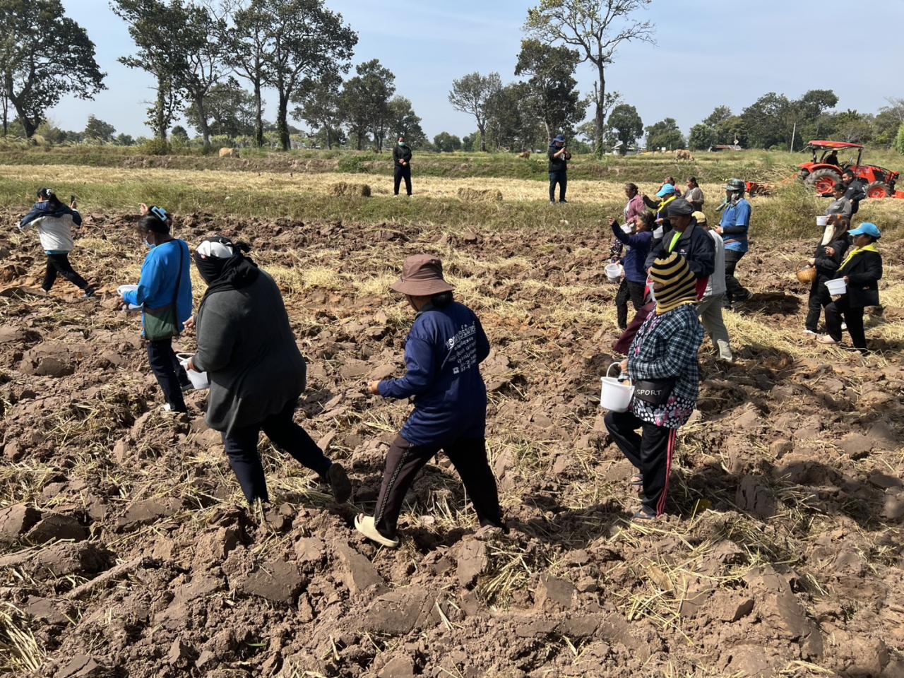 ภาพประกอบที่ 7