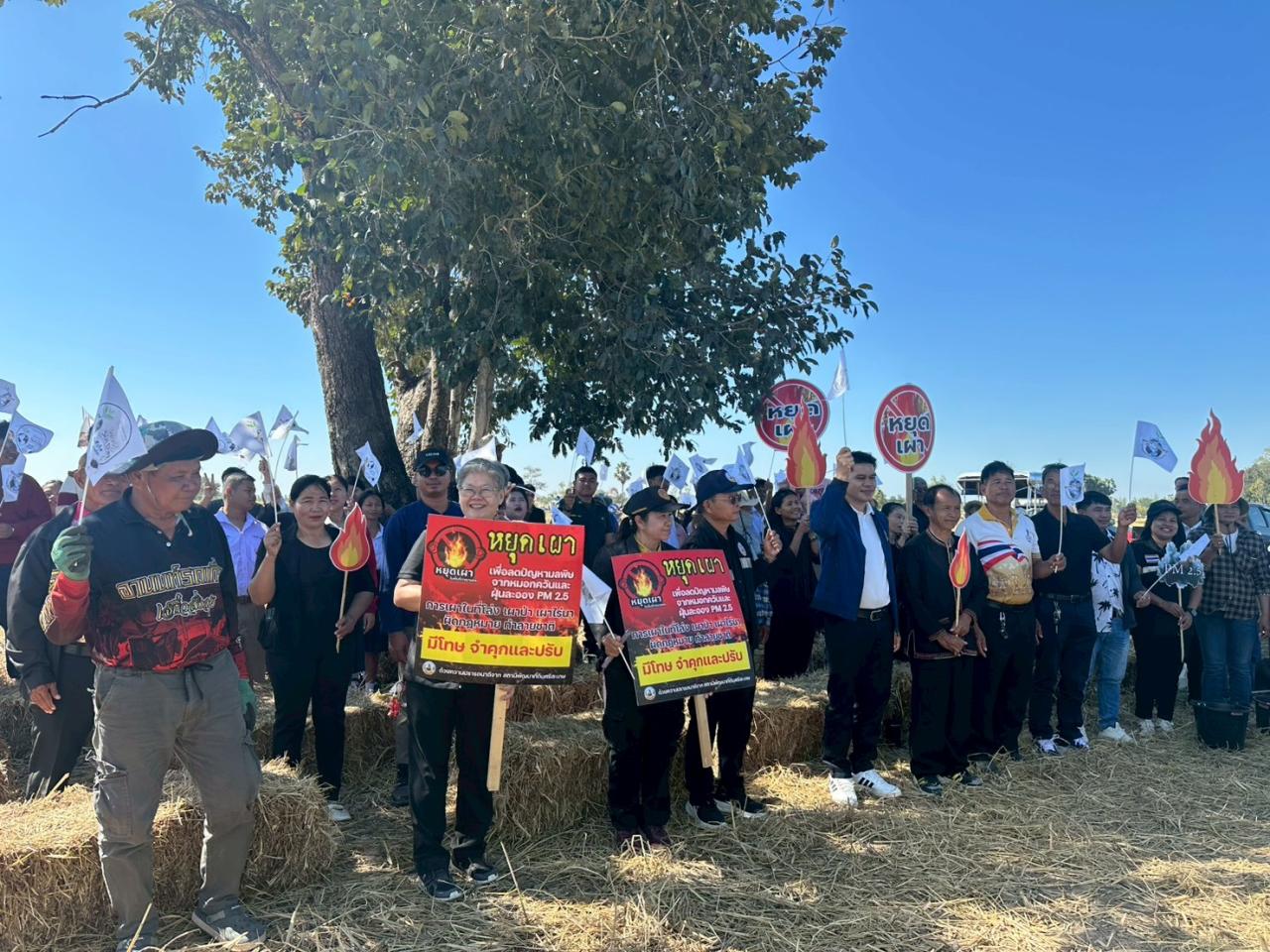 ภาพประกอบที่ 5