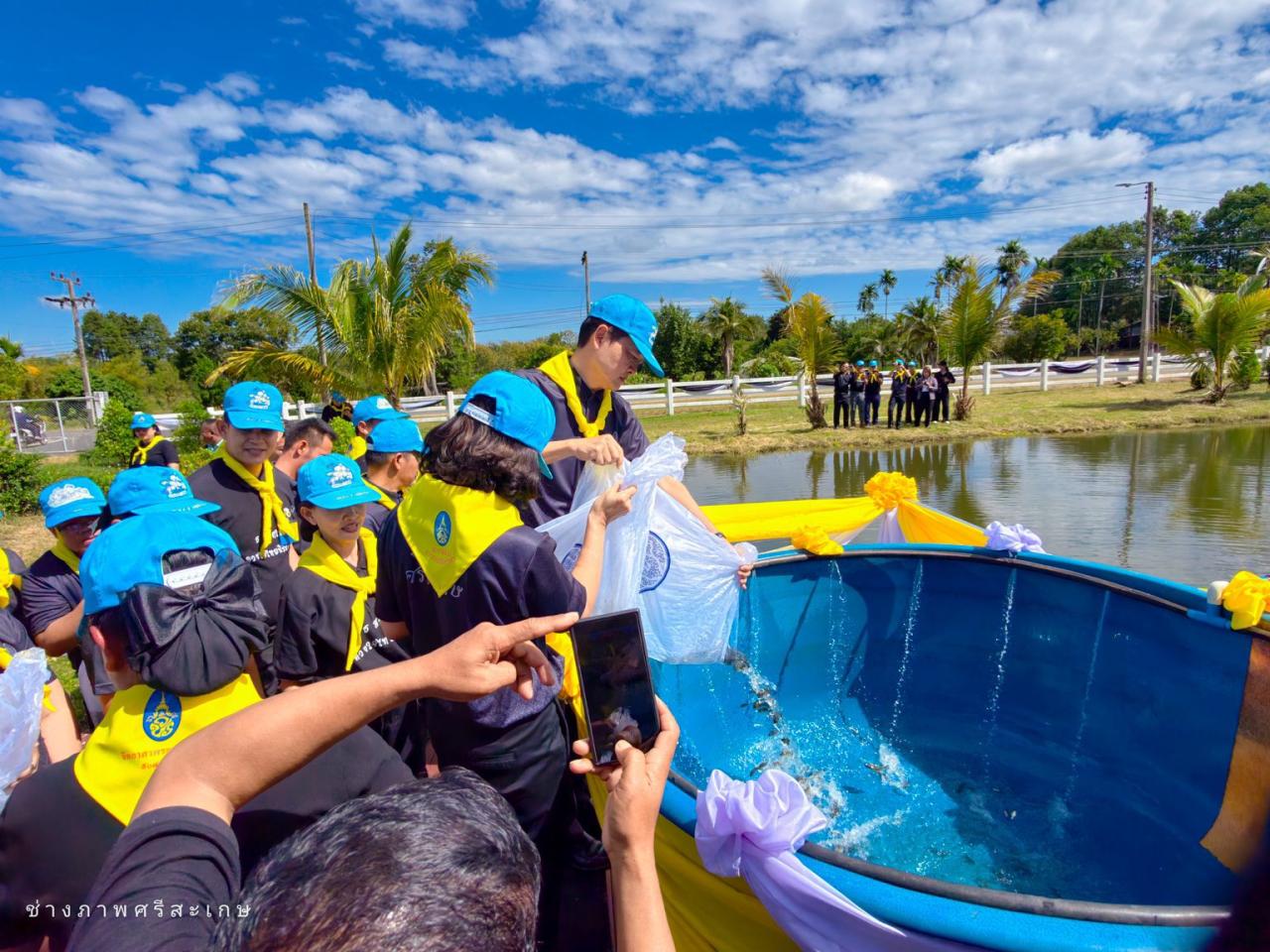 ภาพประกอบที่ 6