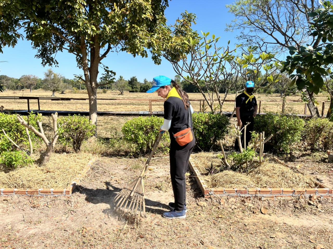 ภาพประกอบที่ 7
