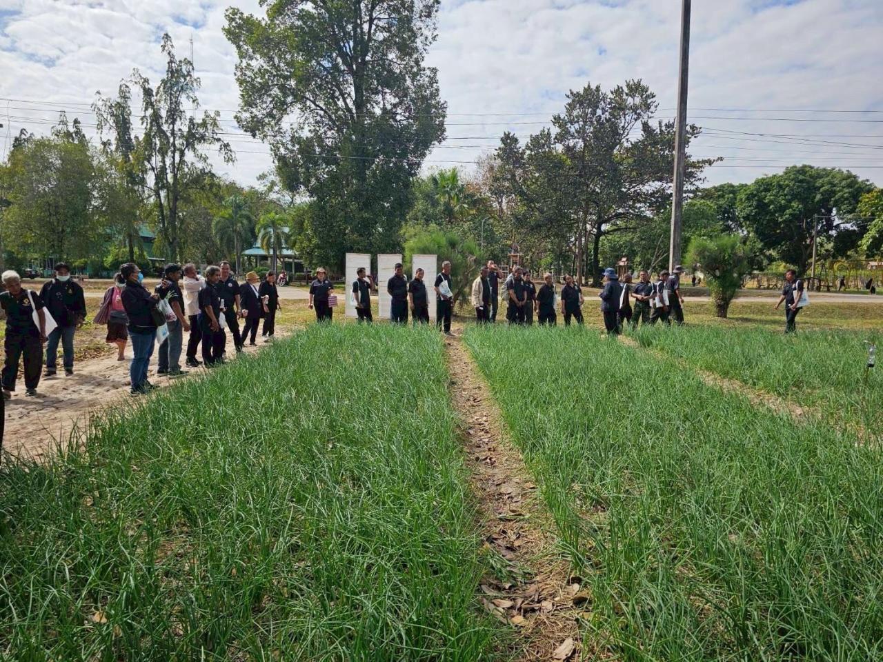 ภาพประกอบที่ 5