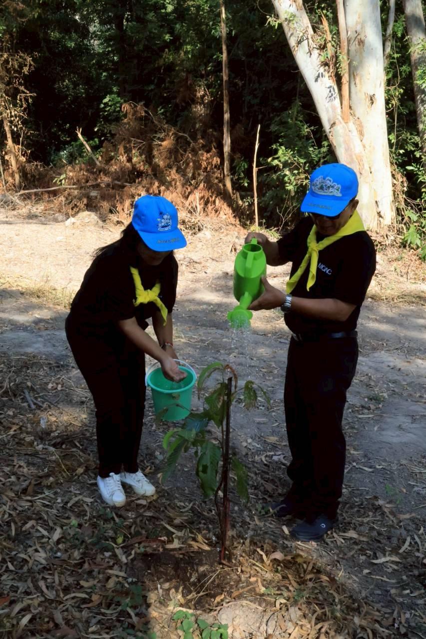 ภาพประกอบที่ 7