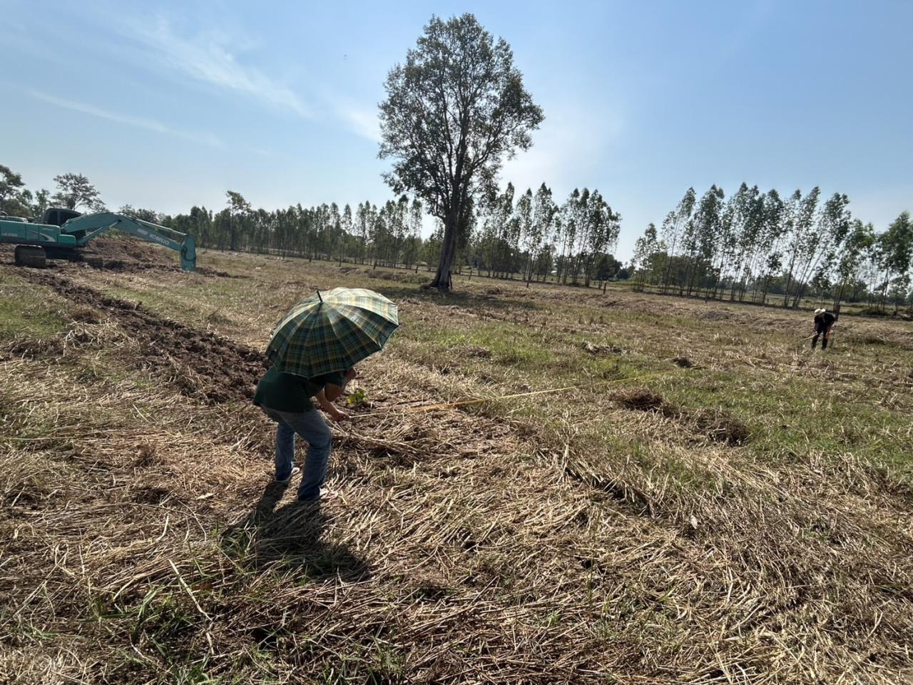 ภาพประกอบที่ 6