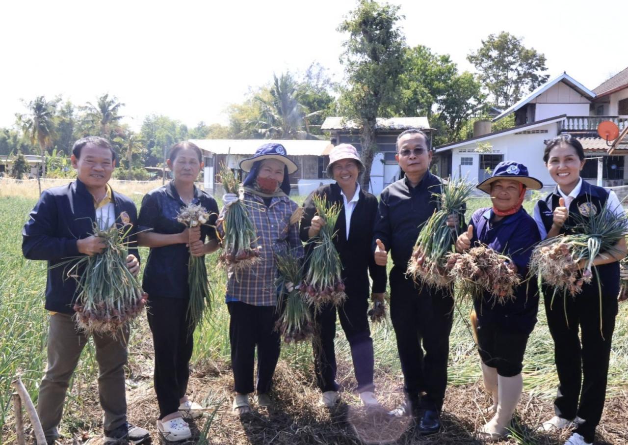 ภาพประกอบที่ 8