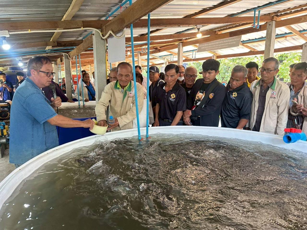 ภาพประกอบที่ 5