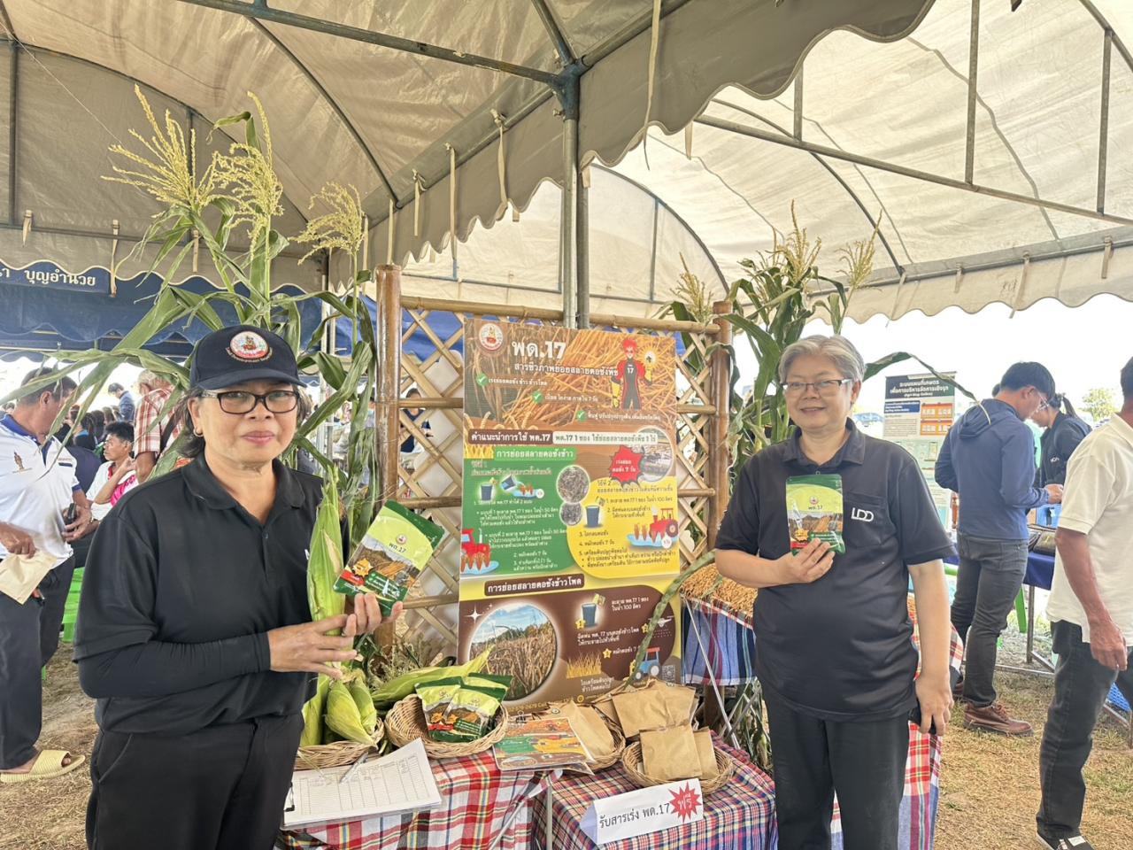 ภาพประกอบที่ 3