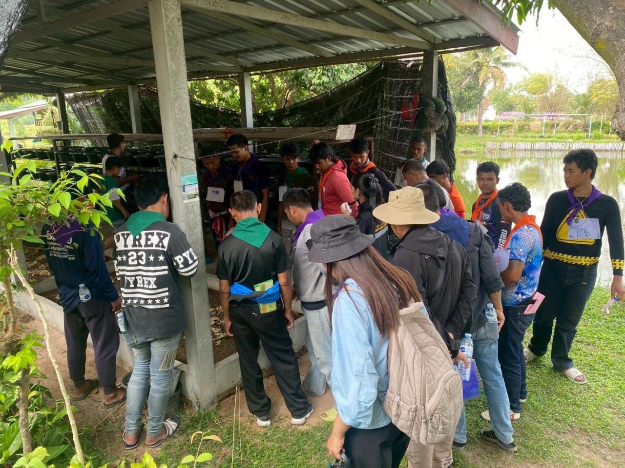 ภาพประกอบที่ 8