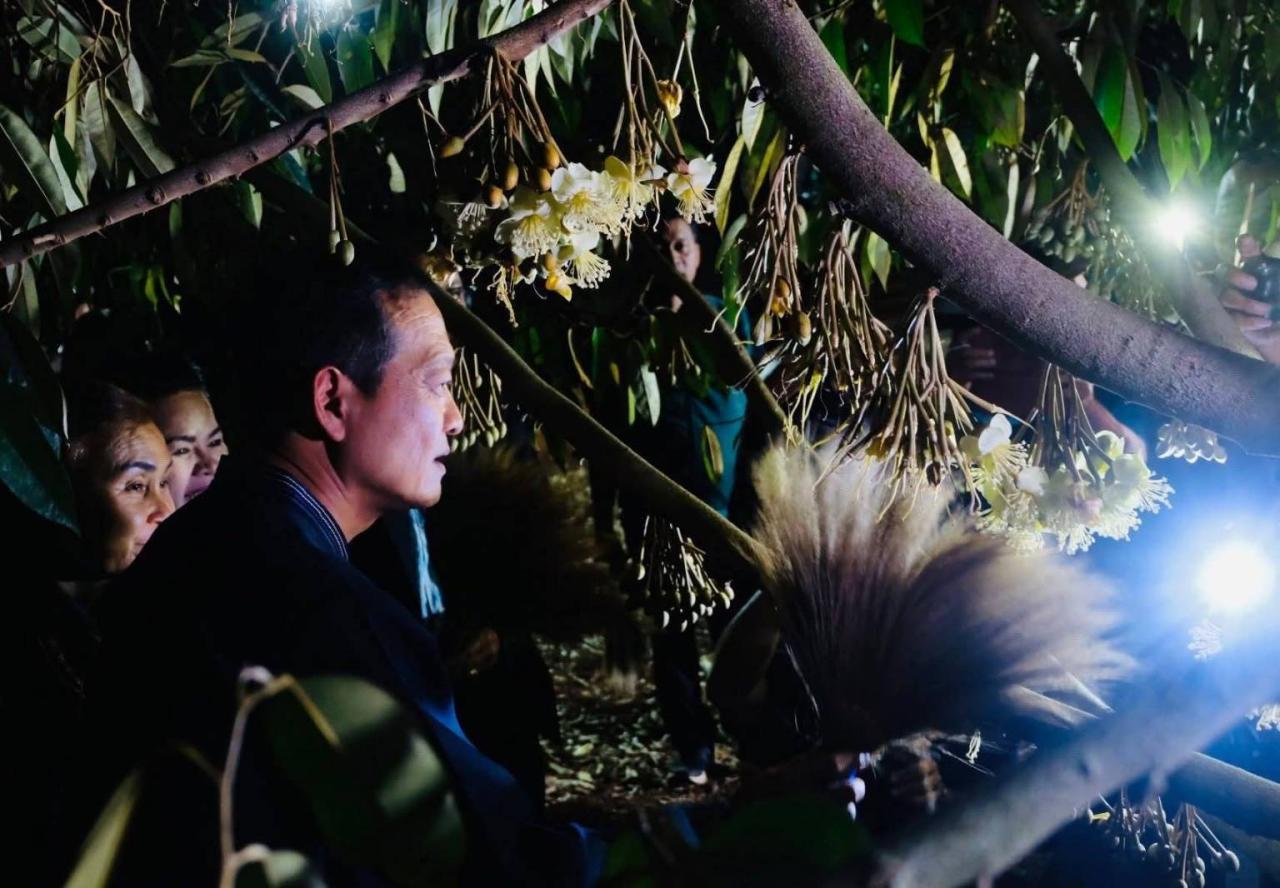 ภาพประกอบที่ 3