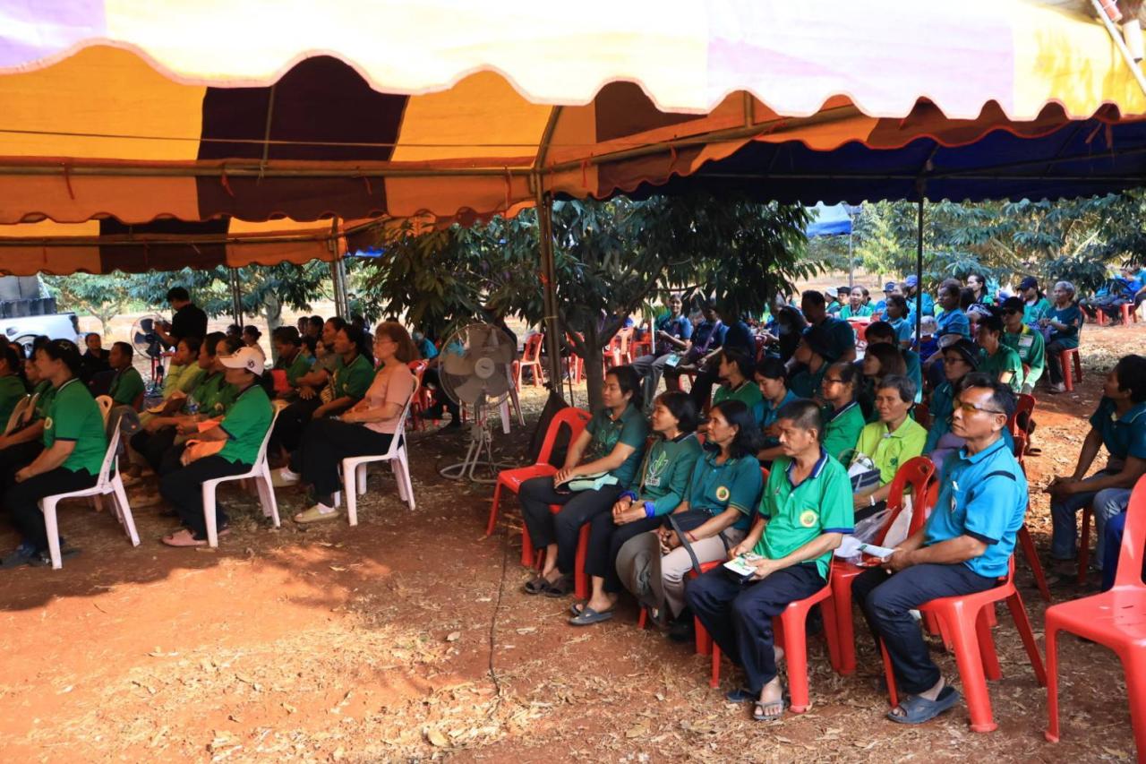 ภาพประกอบที่ 7