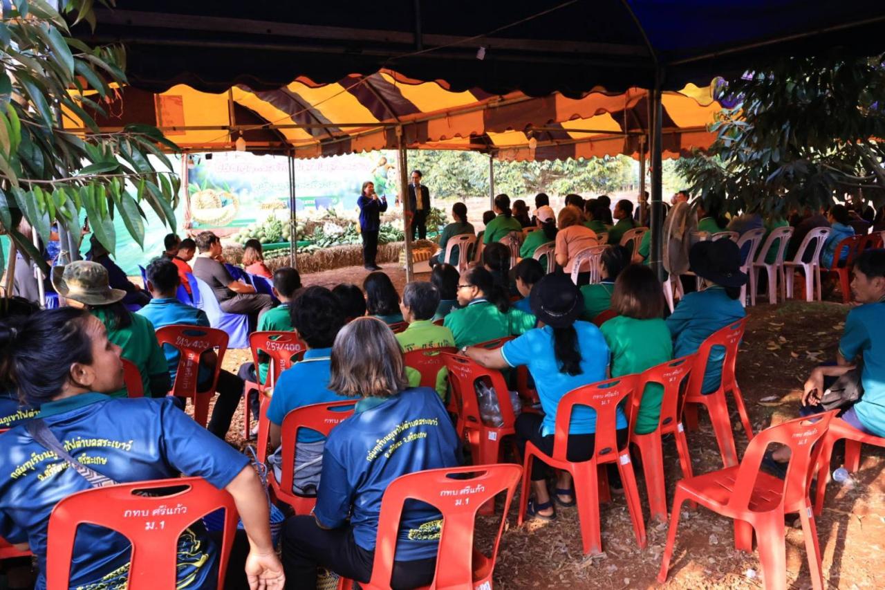 ภาพประกอบที่ 8