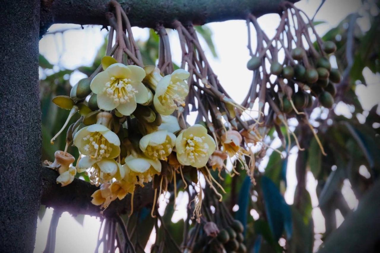 ภาพประกอบที่ 9