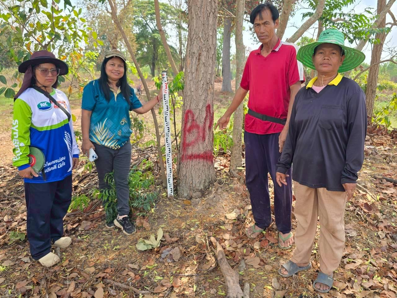 ภาพประกอบที่ 2