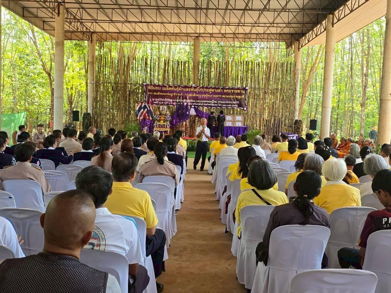 ภาพประกอบที่ 8