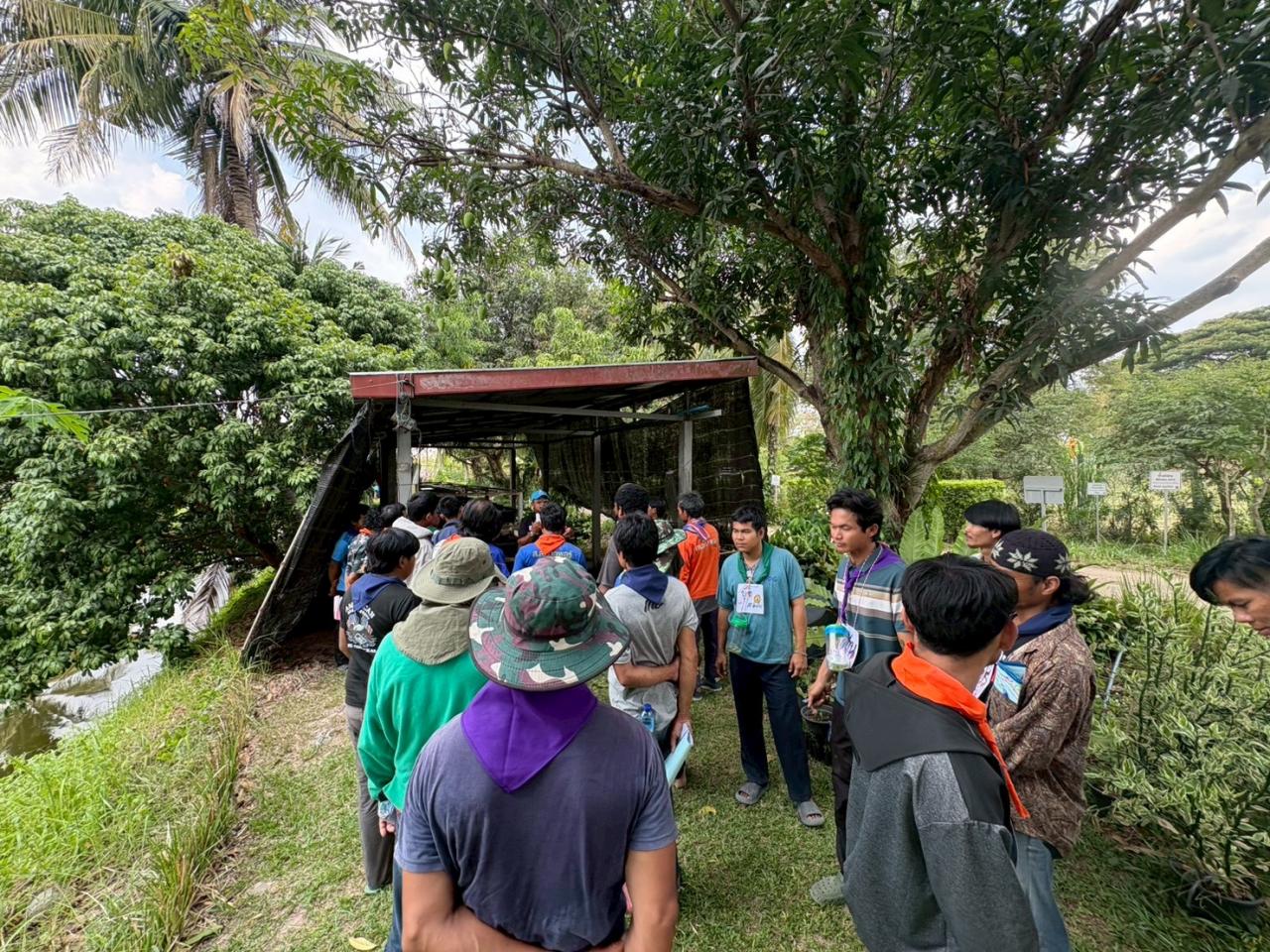 ภาพประกอบที่ 8