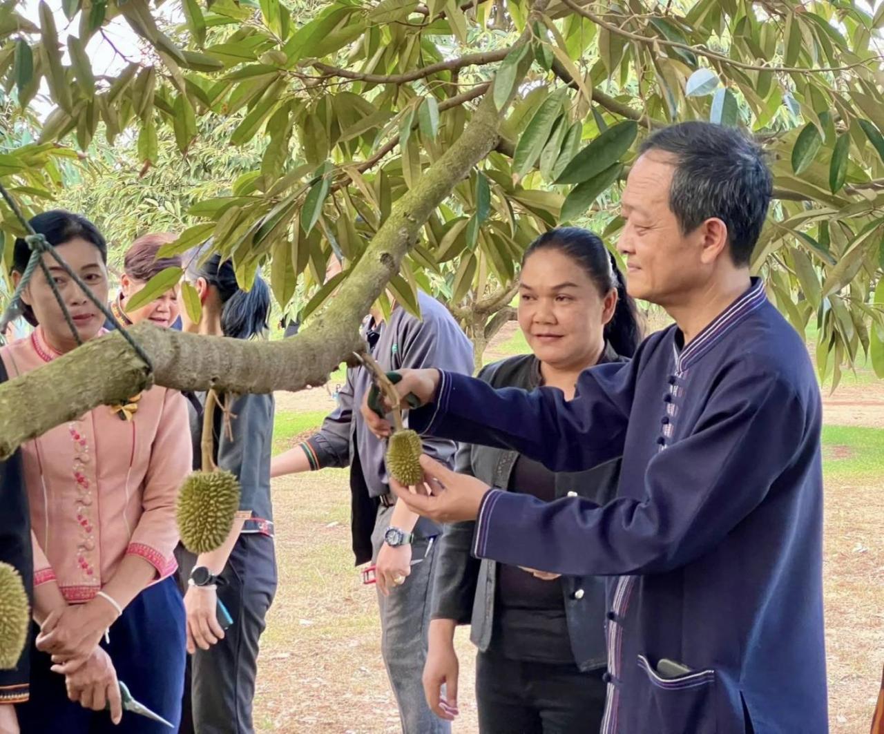 ภาพประกอบที่ 3